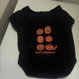 Halloween Pumpkin Dog Costume - Black and Orange